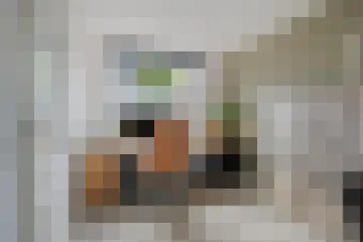 Weg van de Vrede 8 Amersfoort thumbnail 9