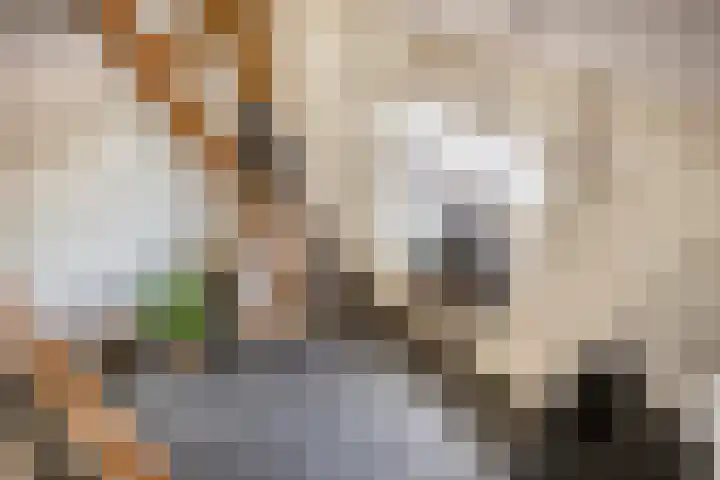 Weg van Ongenade 21 Creil thumbnail 11