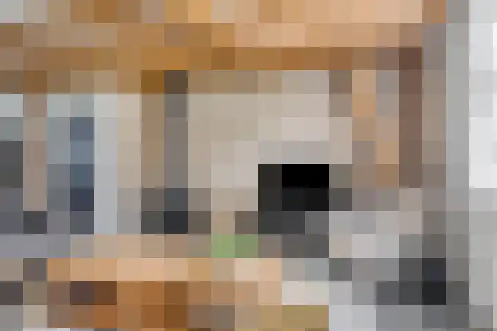 Weg van Ongenade 21 Creil thumbnail 14