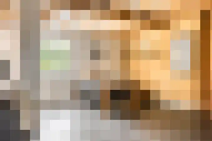 Weg van Ongenade 21 Creil thumbnail 18