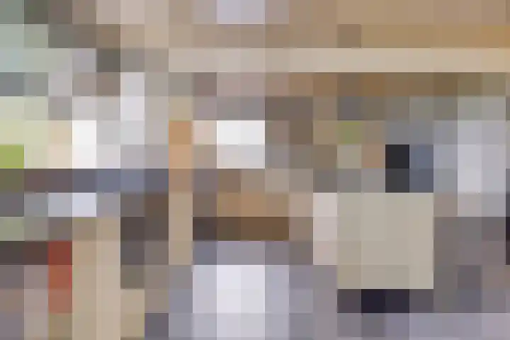 Weg van Ongenade 21 Creil thumbnail 21