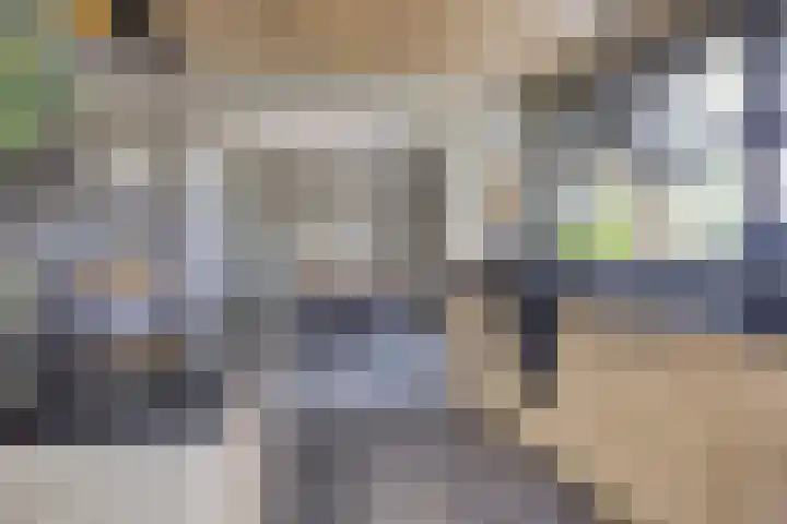 Weg van Ongenade 21 Creil thumbnail 22