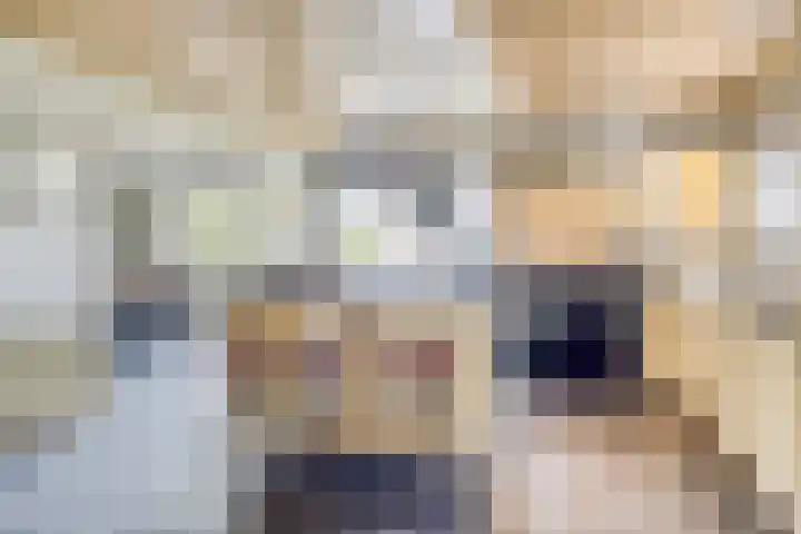 Weg van Ongenade 21 Creil thumbnail 23