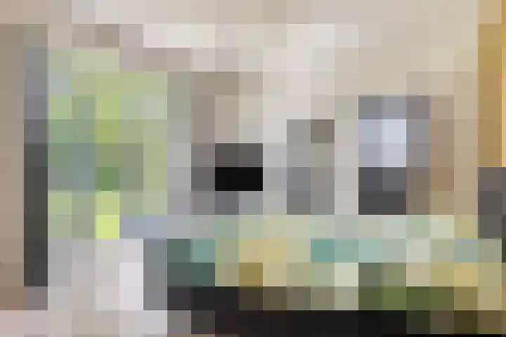 Weg van Ongenade 21 Creil thumbnail 25