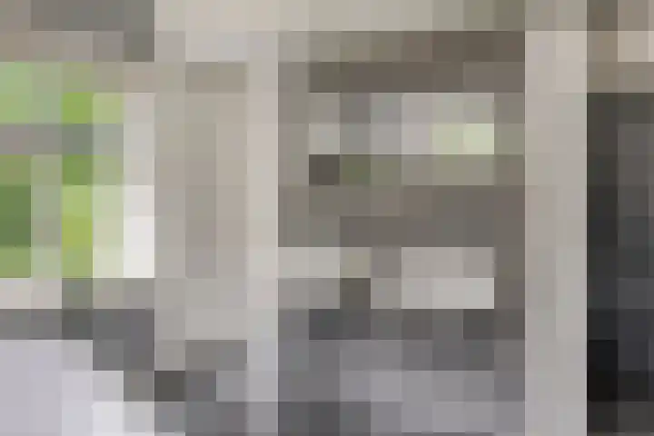 Weg van Ongenade 21 Creil thumbnail 29