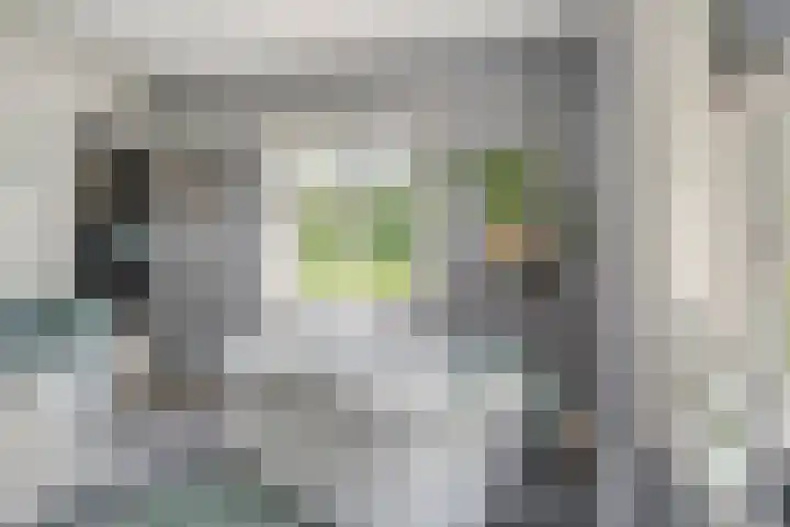 Weg van Ongenade 21 Creil thumbnail 30