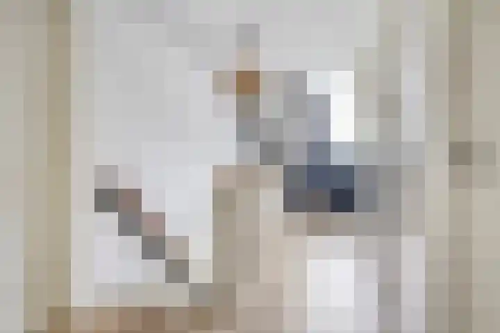 Weg van Ongenade 21 Creil thumbnail 32