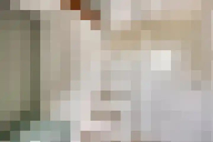 Weg van Ongenade 21 Creil thumbnail 39