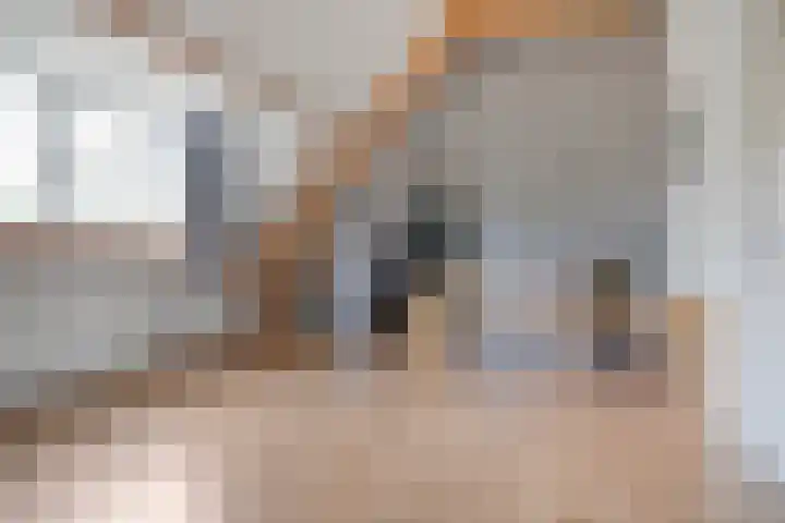 Weg van Ongenade 21 Creil thumbnail 42