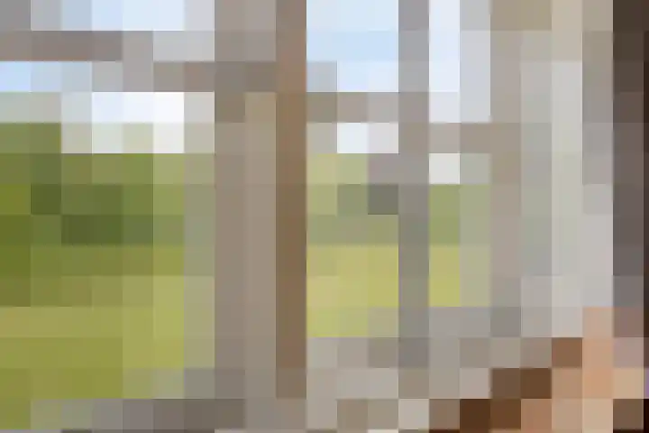 Weg van Ongenade 21 Creil thumbnail 43