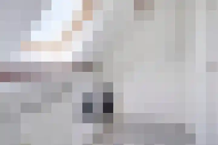 Weg van Ongenade 21 Creil thumbnail 46
