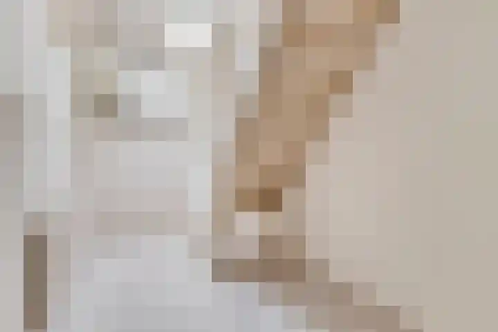 Weg van Ongenade 21 Creil thumbnail 47