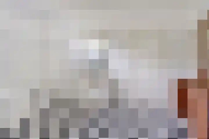 Weg van Ongenade 21 Creil thumbnail 50