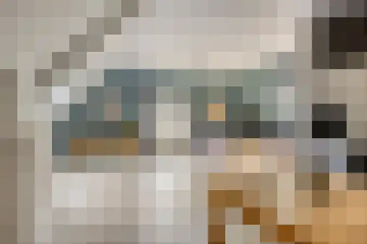 Weg van Ongenade 21 Creil thumbnail 53