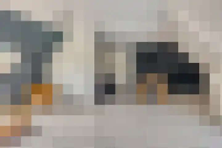 Weg van Ongenade 21 Creil thumbnail 54