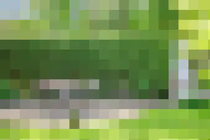 Weg van Ongenade 21 Creil thumbnail 56