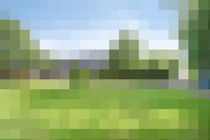 Weg van Ongenade 21 Creil thumbnail 57