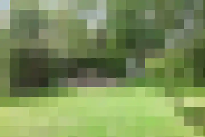Weg van Ongenade 21 Creil thumbnail 58