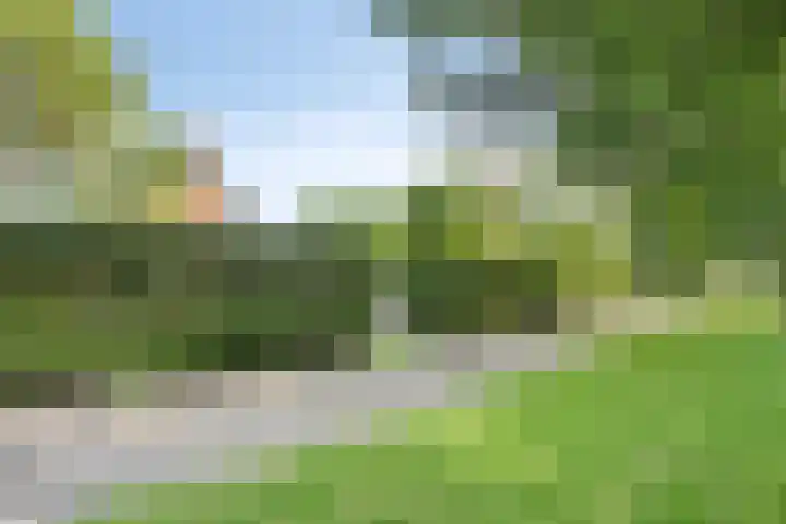 Weg van Ongenade 21 Creil thumbnail 59