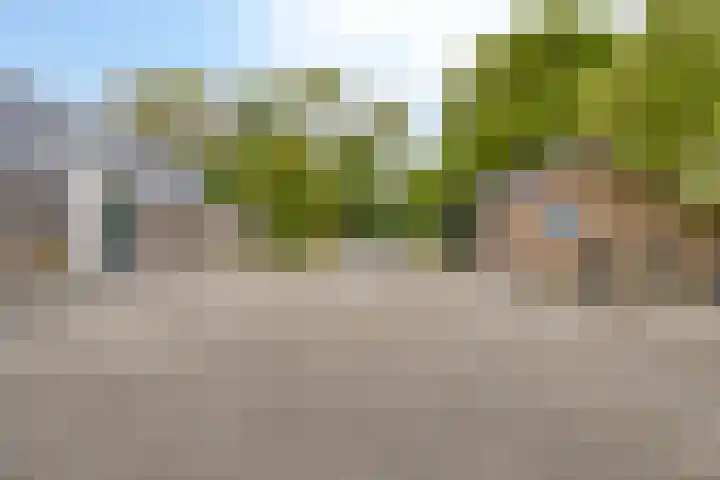 Weg van Ongenade 21 Creil thumbnail 61