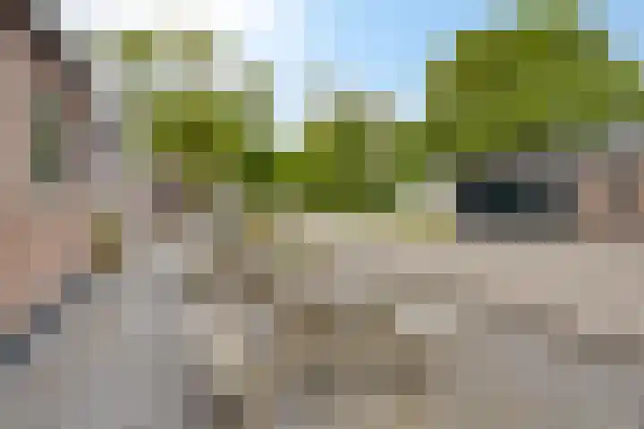Weg van Ongenade 21 Creil thumbnail 63