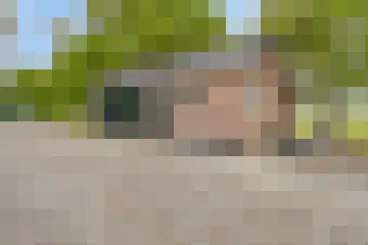 Weg van Ongenade 21 Creil thumbnail 64