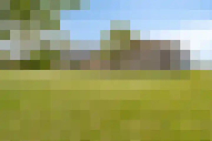 Weg van Ongenade 21 Creil thumbnail 65