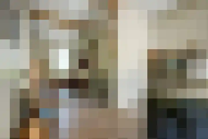 weg van Rollecate 23 Vollenhove thumbnail 10