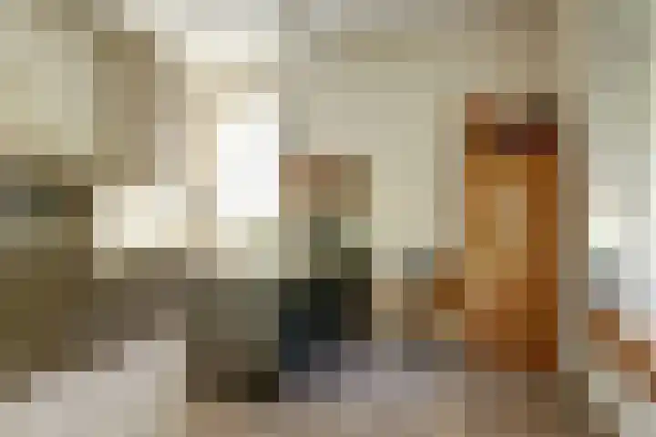 weg van Rollecate 23 Vollenhove thumbnail 11