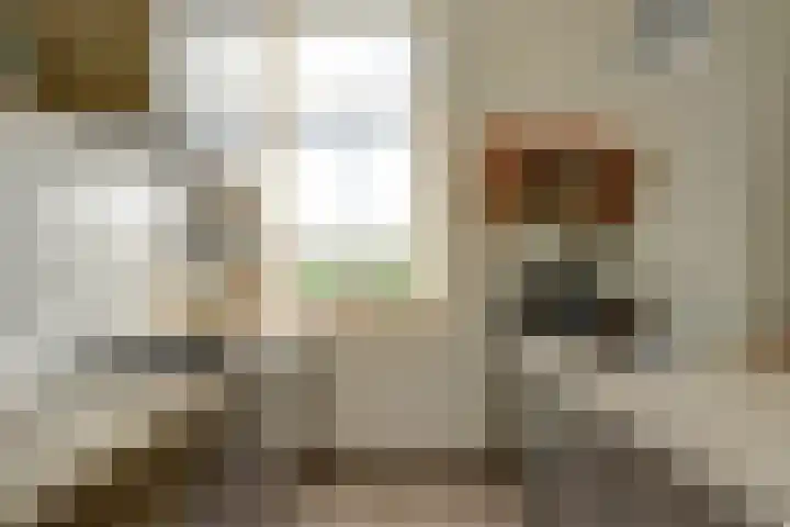 weg van Rollecate 23 Vollenhove thumbnail 12