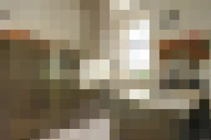 weg van Rollecate 23 Vollenhove thumbnail 13