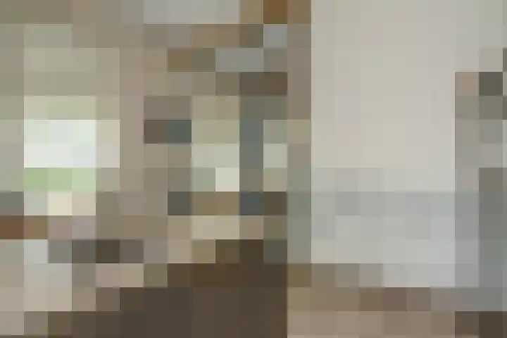 weg van Rollecate 23 Vollenhove thumbnail 14