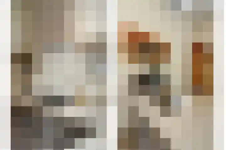 weg van Rollecate 23 Vollenhove thumbnail 15