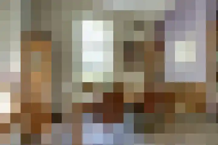weg van Rollecate 23 Vollenhove thumbnail 16