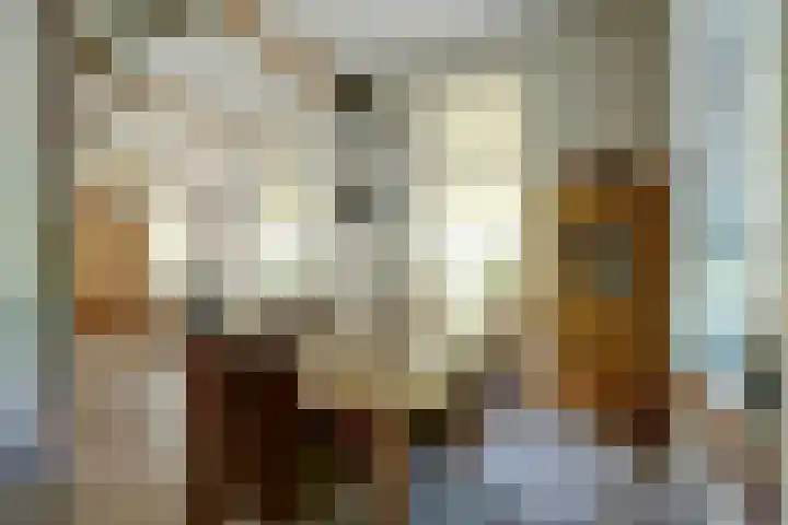 weg van Rollecate 23 Vollenhove thumbnail 18