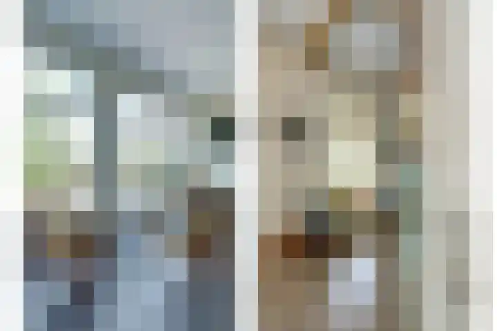 weg van Rollecate 23 Vollenhove thumbnail 19