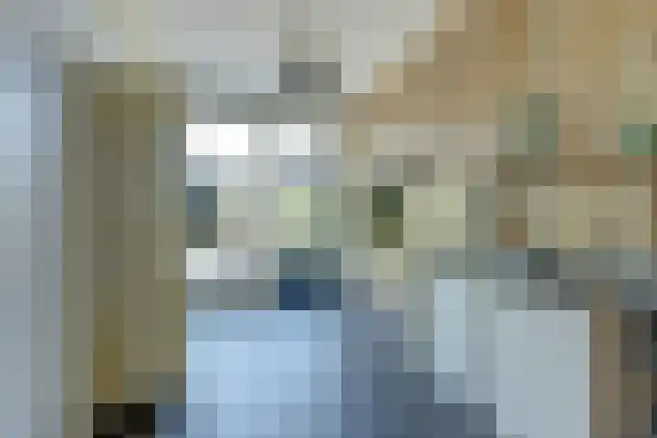 weg van Rollecate 23 Vollenhove thumbnail 20