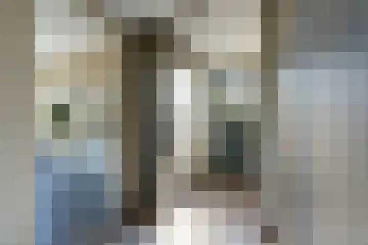 weg van Rollecate 23 Vollenhove thumbnail 22