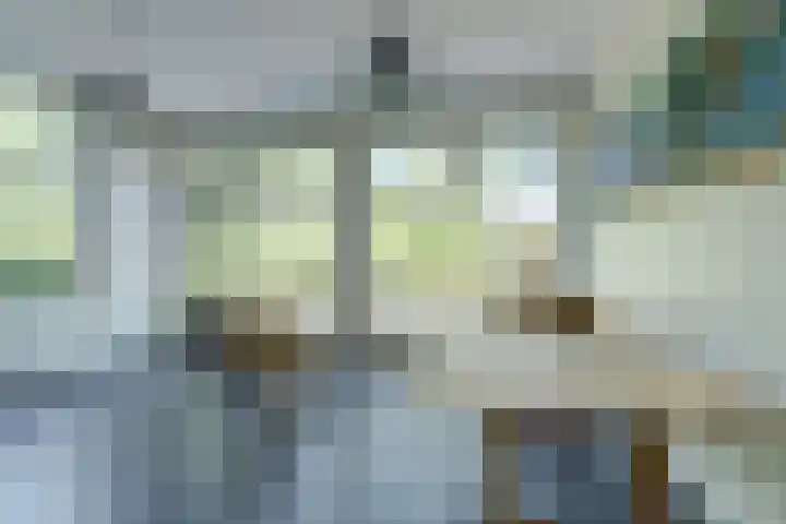 weg van Rollecate 23 Vollenhove thumbnail 23