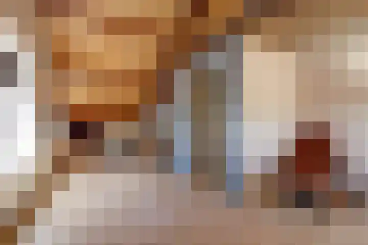 weg van Rollecate 23 Vollenhove thumbnail 28