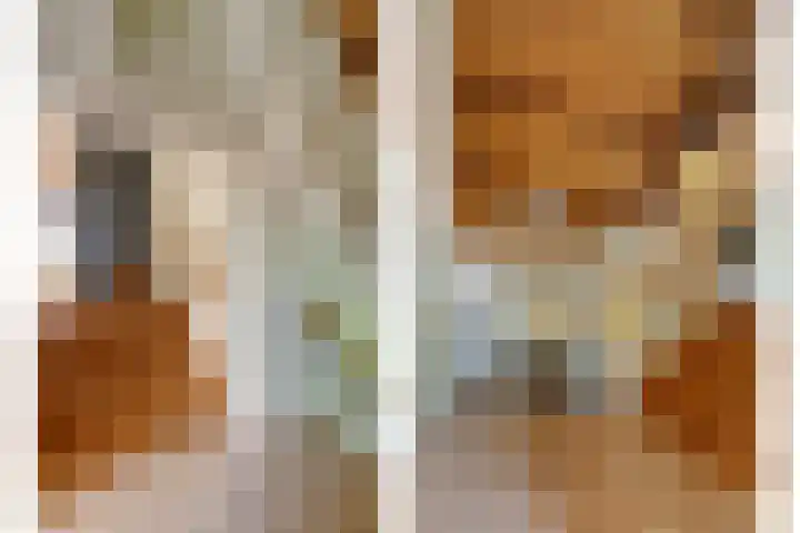 weg van Rollecate 23 Vollenhove thumbnail 29
