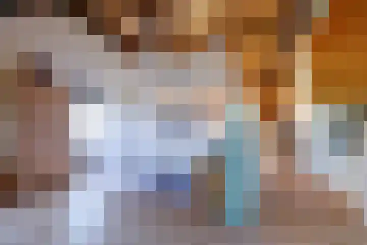 weg van Rollecate 23 Vollenhove thumbnail 30