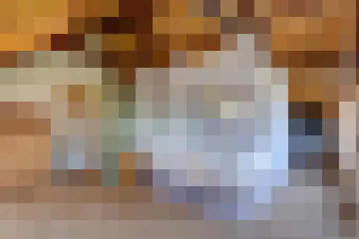 weg van Rollecate 23 Vollenhove thumbnail 31