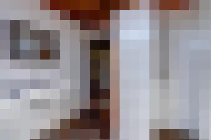 weg van Rollecate 23 Vollenhove thumbnail 35
