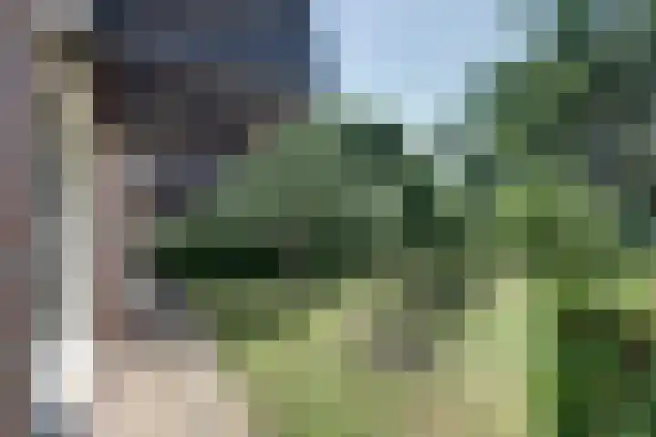 weg van Rollecate 23 Vollenhove thumbnail 36
