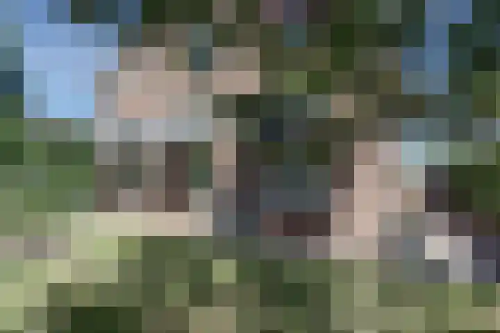 weg van Rollecate 23 Vollenhove thumbnail 37