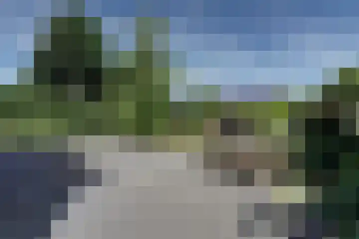 weg van Rollecate 23 Vollenhove thumbnail 38