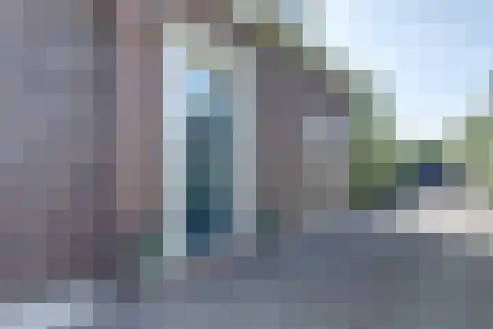 weg van Rollecate 23 Vollenhove thumbnail 39