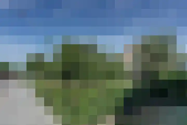 weg van Rollecate 23 Vollenhove thumbnail 4