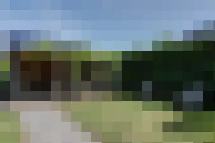 weg van Rollecate 23 Vollenhove thumbnail 40
